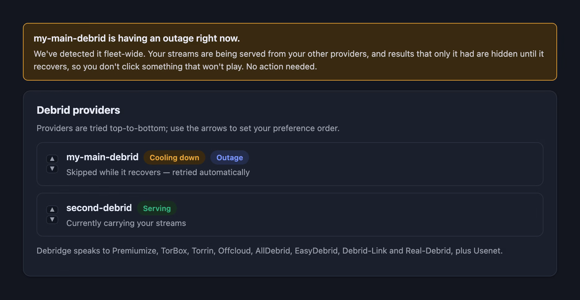 The Debridge dashboard showing a live provider-outage notice and the configured provider list, with the failing provider skipped automatically.