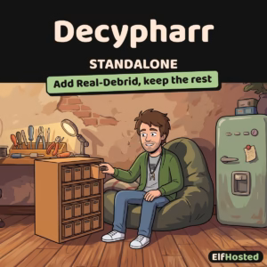Decypharr [Standalone]: illustration