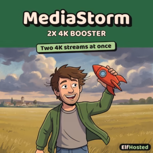 MediaStorm 2x4K Booster: illustration