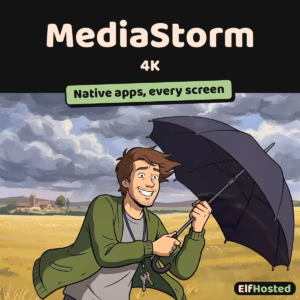 MediaStorm 4K: illustration
