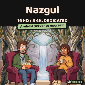 Nazgul - Personal Media Streamer [16xHD / 8x4K streams, dedicated]: illustration
