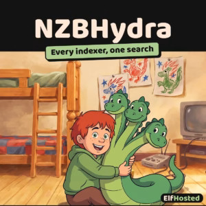 NZBHydra: illustration