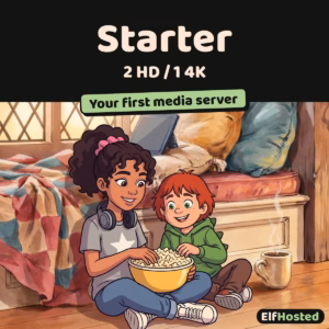 Starter - Personal Media Streamer [2xHD / 1x4K, contended]: illustration